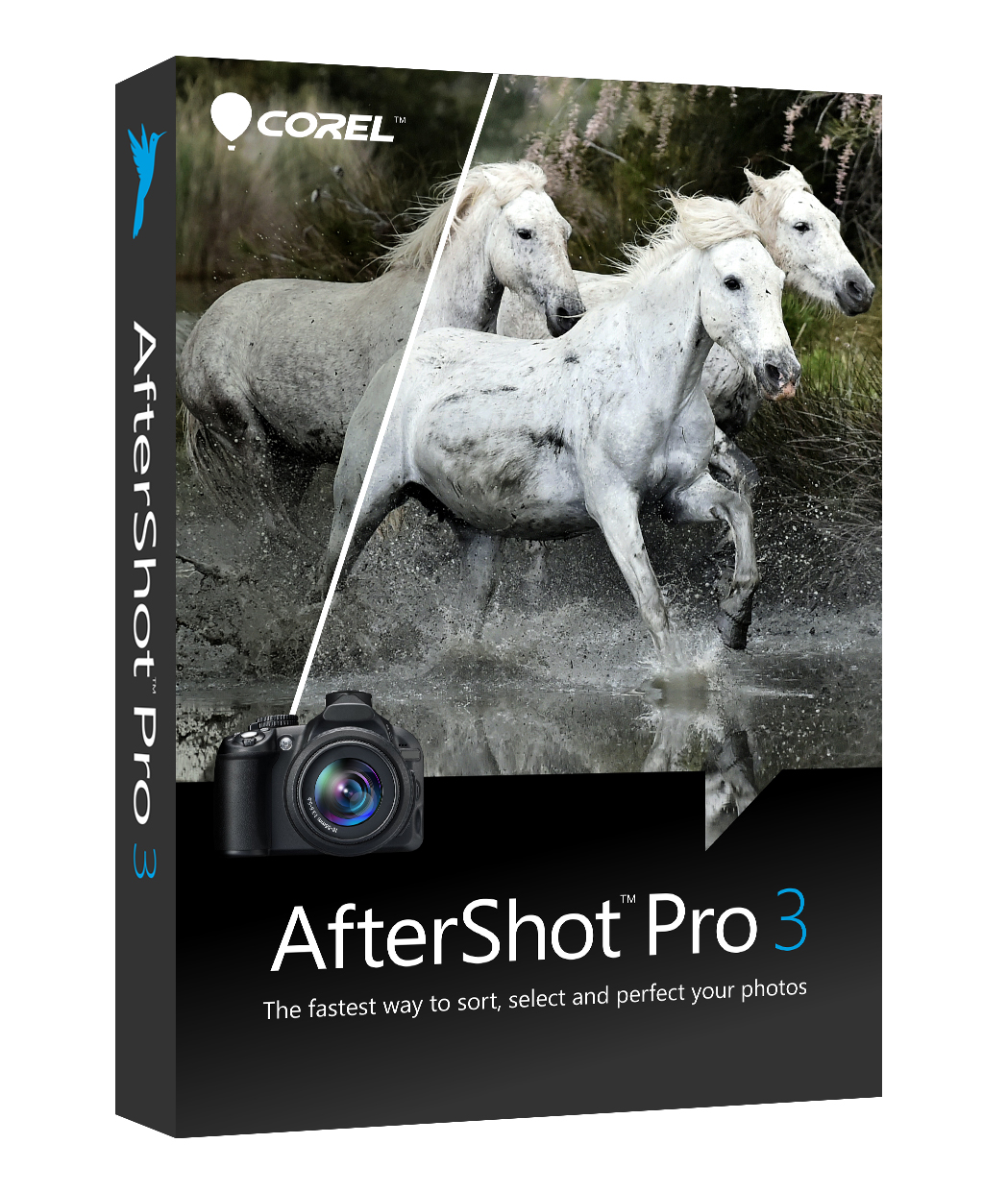 Corel AfterShot Pro 3 ML ESD EN/DE Windows/Mac/Linux
