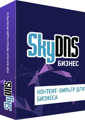SkyDNS Бизнес. 10 лицензий на 1 год